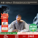 水星家纺羽绒被95%白鹅绒被子冬季加厚冬被芯双人羽绒被220cm×240cm-1900g