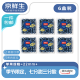 京鲜生 当季云南蓝莓 6盒超大果22mm+ 125g/盒 生鲜水果 源头直发 包邮