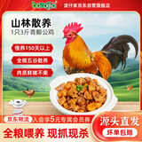BOZAIJIA波仔家散养青脚土公鸡 净重3斤 慢养150天跑山鸡大公鸡 源头直发