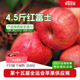 青怡陕西特产洛川红富士时令苹果新鲜水果礼盒 源头产地包邮直发 4.5斤【中大果】160g+