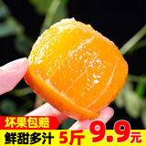 果果牛湖南麻阳冰糖橙 应当季新鲜水果手剥甜橙子高山夏脐血多汁 可选 5斤超值装(50-60mm)