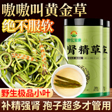 神农金康肾精草100g 嗷嗷叫黄金草 野生特级长白山肾精茶化石草东北男士茶