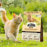 愛肯拿（ACANA）猫粮爱肯拿牧场盛宴鸡肉猫粮无谷成幼猫主粮原装进口宠物营养食品 【美版】丰收家园7.2kg-26年9月