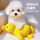 HELLOJOY狗狗玩具耐咬磨牙小狗玩具自己玩解闷神器宠物玩具 发声冲锋鸭