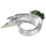 鲜到鲜得【冰鲜钓带】舟山带鱼整条3.5斤(5-7两/条)共6条海鲜年货源头直发