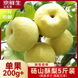 京鲜生安徽砀山酥梨净重5斤装单果200g+ 生鲜水果源头直发包邮