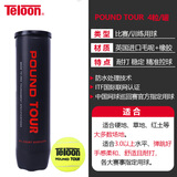 天龙（Teloon）网球比赛训练习用球高弹耐磨P4 TOUR pound 