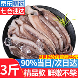 优牧冠 冷冻鱿鱼须铁板鱿鱼爪二本足八爪鱼毛重500g/袋火锅夜宵烧烤食材 精品款肉质鲜嫩 3斤(净重)