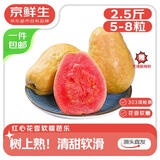 京鲜生树熟软糯红心芭乐 净重2.5斤装单果150g+ 番石榴 源头直发包邮