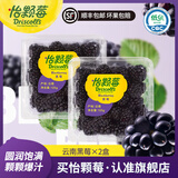 怡颗莓【颗颗饱满】当季云南蓝莓 国产蓝莓 新鲜水果送礼 当季云南黑莓 125g*2盒
