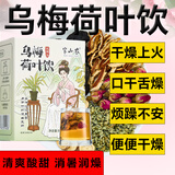 半山农 乌梅荷叶饮2.0省中医院同款95g 三伏天酸梅汤 搭姜枣茶姜粉祛.湿