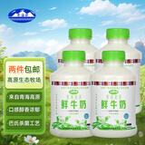 青海湖 青海高原鲜牛奶500ml*4 低温奶 巴氏杀菌 100%生牛乳 