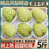 三萌果蔬凤梨牛奶释迦果【顺丰-多地次日达】释迦摩尼果番荔枝新鲜水果 【较甜·精选果】单果150-250g 3斤装【实惠尝鲜·较划算】净2.5斤