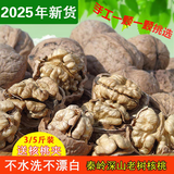 秦岭山野外生山核桃老树干核桃黑桃原味生核桃非纸皮孕妇核桃坚果 野生山核桃【中果】（3斤）不送夹子
