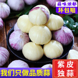 味小仙云南紫皮独头蒜干蒜 2025新蒜大蒜头蔬菜生鲜 大号(3.0cm-3.4cm)干蒜 5斤