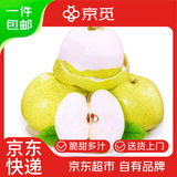 京觅安徽砀山酥梨 净重8.5斤 单果240g+ 生鲜水果砀山梨子 源头直发