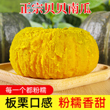 京鲜匠山东正宗贝贝南瓜 板栗味粉糯小南瓜贝贝婴儿辅食香甜 净 4.5斤 手挑装【香甜粉糯】