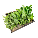  山野菜拼盘300g(富贵菜+冰草+面条菜)