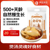 1号会员店 跑步鸡供港黄油老母鸡农家散养土鸡走地鸡500天炖鸡汤净重1.2kg