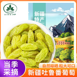 古力巴戈（GulBag）无核白葡萄干500g 新疆特产零食果干非特级免洗超大提子干