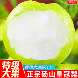 京地达梨子砀山梨皇冠梨净重4.5斤单果250g青皮皇冠梨水果源头直发包邮