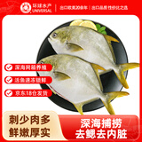 环球水产 冷冻南海二去金鲳鱼900g2条 去鳃去脏 深海鱼鱼类  海鲜家庭聚餐