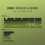 AKKO侧刻透光 磁轴专用PBT键帽 极简渐变主题 135颗大全套 广泛兼容60/68/75/87/98/108等机械键盘配列