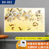 欣艾迪 石墨烯碳晶墙暖壁画家用碳纤维电暖器电热板节能省电取暖器壁挂式电暖气片 800w-03