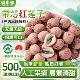 鲜丰春带芯红莲子湘潭无硫干货莲子芯祛火百合2025年货特新鲜级莲子500g