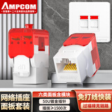 安普康（AMPCOM）网络面板六类 双口千兆免打镀金CAT6类网线信息模块插座 RJ45镀金水晶头86型UTP二位网口AC612WH