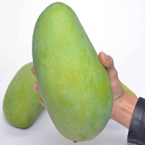 张小壮 芒果 大青芒 大芒果现摘青皮黄皮芒果新鲜水果 源头直发 8.5-9斤精选单果约450g