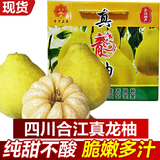 桃李村四川泸州合江真龙柚 密溪柚子 正宗沙田柚 纯甜柚子 真龙白心柚 礼盒装【6个大果 共15斤】