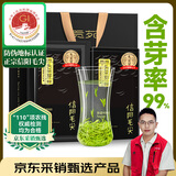 贡苑头采信阳毛尖特级250g 2025新茶明前绿茶高档茶叶礼盒装送长辈