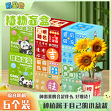 百里霜儿童种植盆栽盲盒6盒装生日礼物益智玩具植物观察