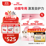 皇家猫粮 幼猫猫粮 幼猫奶糕 K36 通用粮 4-12月 4.5KG*2