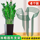 芷郁植物防倒伏支架铁艺绣球吊兰支撑杆园艺固定架爬藤花架 4个大号