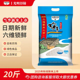 光明谷锦海丰优质大米 2024新米 粳米 香米 上海海丰大米 苏软米苏北大米 海丰优质大米10kg(25年新米)