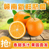 XIAOBO FARM正宗赣南脐橙甜橙 鲜橙子手剥橙榨汁果冻橙冰糖半价水果 4.5-5斤80mm+