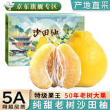 松筱广东梅州沙田柚子白肉蜜柚正宗梅县老树冰糖金碌柚新鲜时令水果 50年老树果王礼盒装 甄选特大果带箱10斤