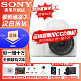 索尼【蚂蚁摄影】ZV-E10 II ZV-E10二代 APS-C画幅微单相机 滤镜直出直播美颜神器 小巧便利ZVE10二代 二代16-50套机 白色 官方标配【推荐套餐3免费升级套餐4更划算一步到位】