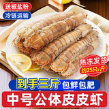 一虾一世界鲜活熟冻皮皮虾 新鲜虾爬子濑尿虾大号爬爬虾肉虾婆肉 烧烤食材 中公虾 3斤(净重)  【约25只/斤】