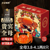 【活蟹】漁家师傅大闸蟹全母3.8-4.1两8只 去绳足重鲜活螃蟹现货生鲜实物水产海鲜礼盒