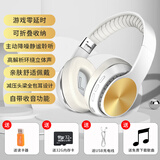 ROBERILLINE柏林之声头戴式蓝牙两用耳机大耳罩隔音运动插卡听歌电脑游戏耳麦 山矾白