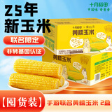 十月稻田 黄糯玉米 7.02斤(220g*16根) 25年新玉米 低脂早餐 联名款2箱