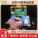 绿洲玉羊右玉羊肉新鲜山西右玉散养羔羊羊肉生鲜礼盒原切清真食品羊肉卷 5kg爱心礼盒