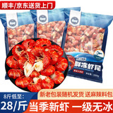 海皇湾一级小龙虾尾生鲜冷冻批发整箱特大号无冰麻辣蒜蓉新鲜速冻虾球 2斤龙虾尾（净重）送料麻辣料*1