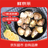 鲜京采 鲜活大文蛤 15-20粒/斤 净重3斤 蛤蜊花蛤生鲜海鲜 源头直发