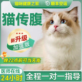 【空运 次日达】44l猫腹传针剂油剂干性湿性腹水腹膜炎可口服片剂 新款加强版【3瓶】20浓度 6ml*3支
