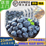 鲜级佳辽宁丹东蓝莓王【多地次日达】新鲜孕妇L25花香蓝莓礼盒怡颗蓝莓 4盒【100g/盒】品质升级-精品果 【金奖】蓝莓王 更脆更甜【单果20mm+】