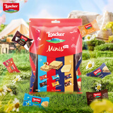 莱家迷你威化饼干混合口味300g年货礼物送礼喜宴结婚